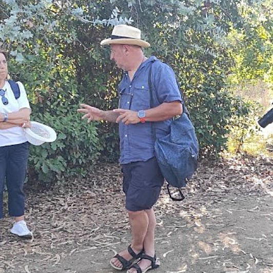Picnic entomologico